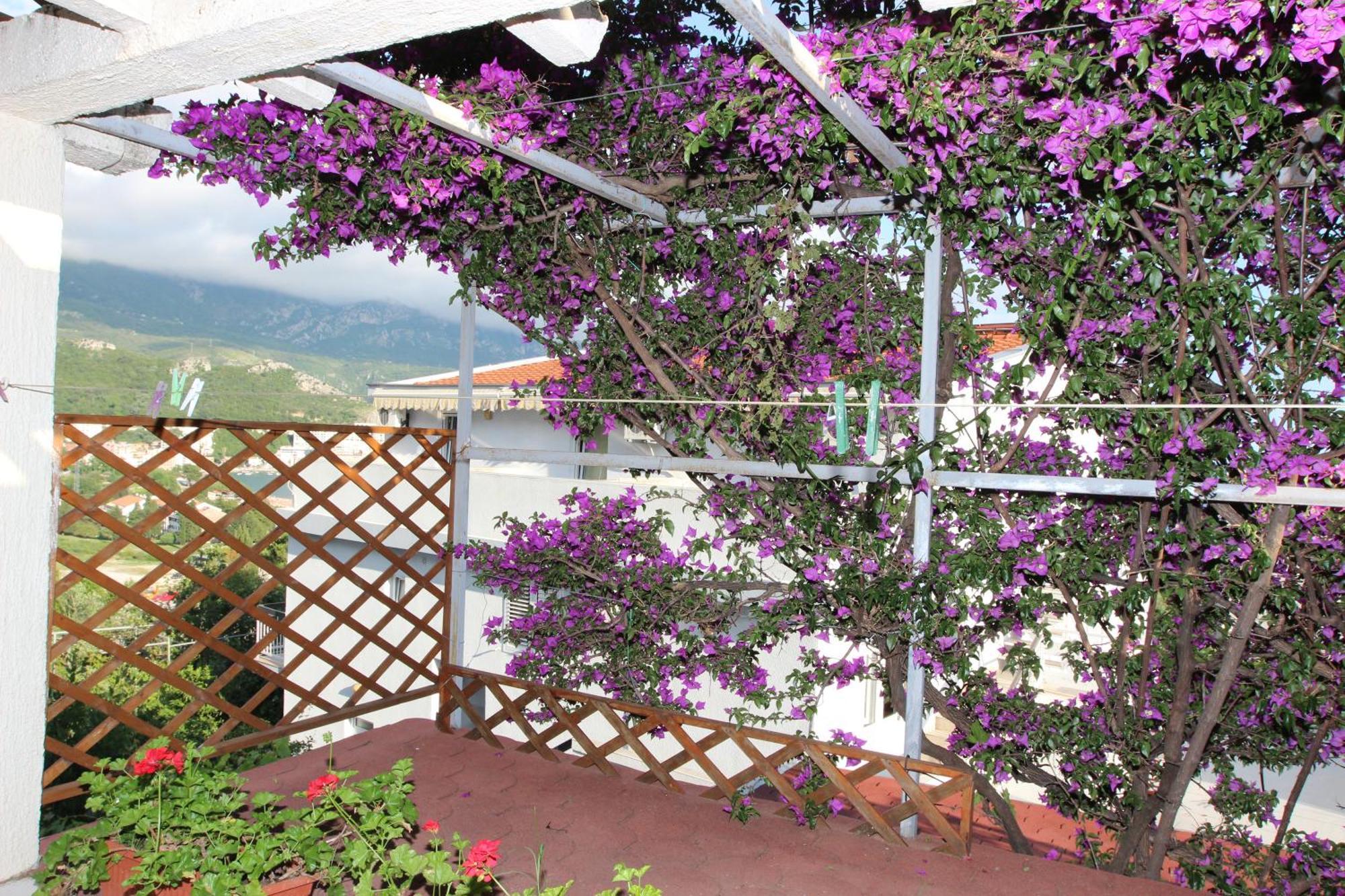 Apartment Sandra Budva Habitación foto